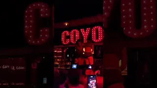 #COYOTE #UGLY #MOSCOW