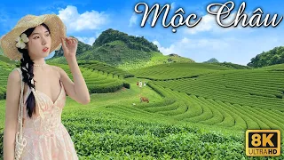 Moc Chau Vietnam | The World's Longest Glass Bridge, Waterfall Swim & Camping, Cheap Fruit in Garden