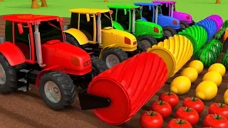Сбор фруктов и овощей с Трактор Учим Цвета для детей | ZORIP
