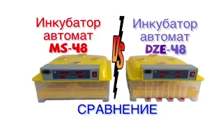 Сравнение двух инкубаторов автомат MS-48 и DZE-48