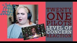 twenty one pilots - Level of Concern - REACTION