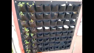 64 pocket wall planter