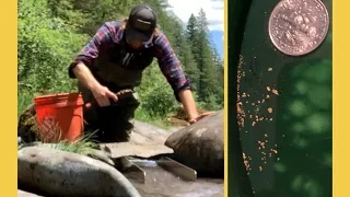 Prospecting on the East Fork of the Lewis River, Washington State