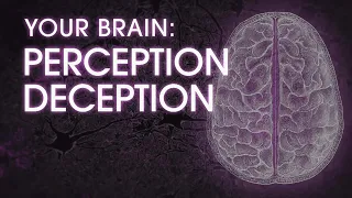 NOVA Your Brain: Perception Deception