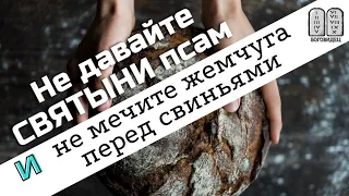 Не давайте святыни псам и не мечите бисер перед свиньями. Толкование Максим Каскун