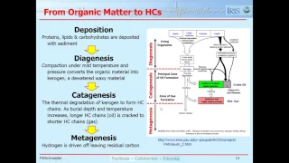 Lesson 7:  Source Rocks for Hydrocarbon Generation