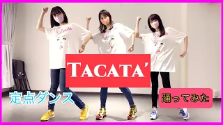 【踊ってみた】Tacata'/ MAX【定点ダンス】