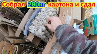 Сколько можно заработать на картоне