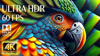 4K HDR 60fps Dolby Vision with Animal Sounds & Relaxing Music (Colorful Dynamic) #2