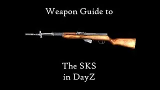 DayZ Standalone - Weapon Guide - SKS