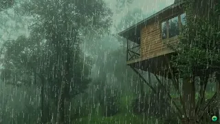 Pluie Relaxante pour Dormir en 3 Minutes - Son de Pluie pour se Détendre et Améliorer l'insomnie