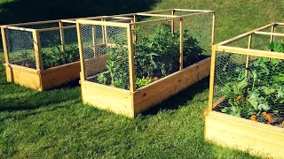 Enclosed Raised Garden Beds - DIY Gardening Project
