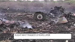 MH17 tragedy: terrorist attack with 298 victims – the downing of a passenger plane by Russia