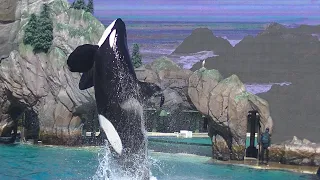 Orca Encounter (Ulises decides to Splash instead) Oct 16, 2020 - SeaWorld San Diego