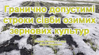 Гранично допустимі строки сівби озимих зернових культур