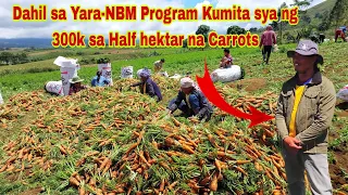 Carrots Farmer Kumita ng 300K sa Half Hektar na walang Nilabas na Kapital?How?
