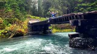 Прогулка в лесу поселения Гирдвуд, Анкоридж, Аляска - Girdwood, Anchorage, Alaska.