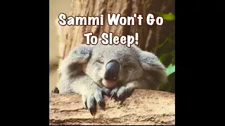 Children’s Sleep Meditation Story | Sammi The Kuala Bear Won't Go To Sleep