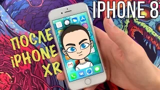 iPhone 8 ПОСЛЕ iPhone XR ПРИЯТНО УДИВИЛ! Опыт использования