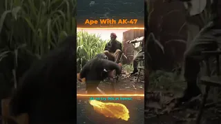 Ape With AK-47 (old meme), do not give to Ape shotgun