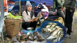 Harvest 40kg of Fish, Mussels After 3 Months Goes to the market to sell | Lý Thị Ca