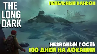 100 ДНЕЙ НА ОДНОЙ ЛОКАЦИИ "ПЕПЕЛЬНЫЙ КАНЬОН" ► НЕЗВАНЫЙ ГОСТЬ ► THE LONG DARK