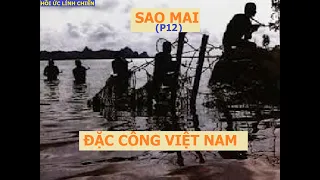 SAOMAI(P12)  CHẶN ĐÁNH BỌN TQLC NGỤY TRÊN MỎM ĐẦU TRÂU / hồi ức lính chiến (933)