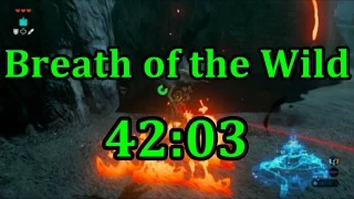 Breath of the Wild Any% Speedrun in 42:03 (No Amiibo)