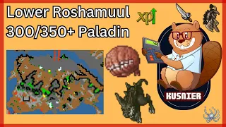 Lower Roshamuul | 300+/350+ Paladin | Tibia