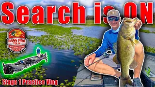 Searching for ONE KEY Bite - MLF Stage 1 Kissimmee Chain - Practice Vlog