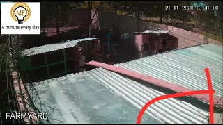 Caught on CCTV - Snake electrocuted