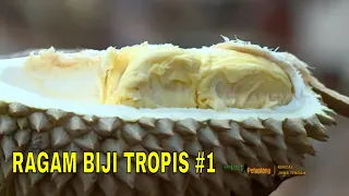 RAGAM BIJI TROPIS | JEJAK PETUALANG (22/05/22) Part 1