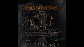 Martin Garrix vs Blinders - Animals vs Relieve (LizcanoXD Mashup)