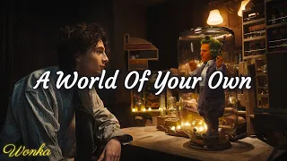 A World of Your Own - Timothée Chalamet & The Cast of Wonka | WaterTower (Lyrics)