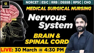 Nervous System - Brain & Spinal Cord | For NORCET | ESIC | RRB | DSSSB | RPSC | CHO Exams |Raju Sir