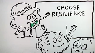 Resilience: Increase Your Inner Strength