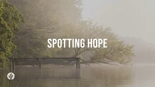 Spotting Hope | Audio Reading | Our Daily Bread Devotional | January 3, 2024