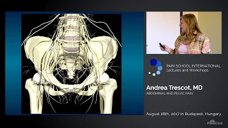PainCast Preview: Abdominal and Pelvic Pain: Dr. Andrea Trescot, MD, FIPP, CIPS