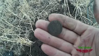 Minelab GO FIND 20 уделывает всех!