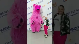 Розовый медведь для экспресс-поздравлений
