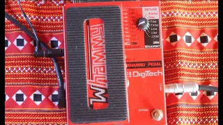 Digitech Whammy WH-1