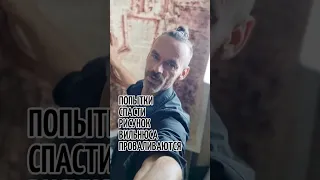 Попытки проваливаются - #картина - #Вильнюс с высоты птичьего полёта. Эдуард Кичигин