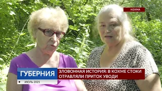 Зловонная история: в Кохме стоки отравляли приток Уводи