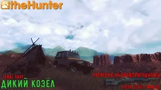 ♢ theHunter Classic ➫ Рубрика: Помощь новичкам ♢ Feral Goat Missions ℘⓶ ➫ 7mm-08 Scout Steyr ♢