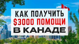 $3000 помощи беженцам в Канаде. Как получить? Полная инструкция