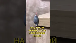 САМЫЙ ПРОСТОЙ ЭКСПЕРИМЕНТ ДОМА #галилео #наука #tiktok #тикток #физика #топ #тренды #funny #top #m