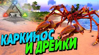 АRK Survival Evolved с модами  ☛ Пассивное приручение Каркиноса ☛ Воруем яйца дрейков ✌