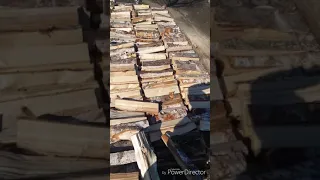 КамАЗ дров в укладку, много дров