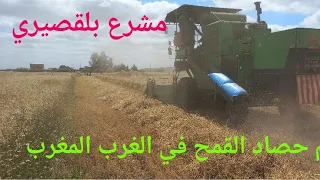 موسم حصاد القمح في الغرب المغرب مشرع بلقصيري إقليم سيدي قاسم 🇲🇦🇲🇦🇲🇦🇲🇦☀️☀️👍👍