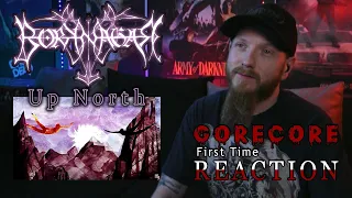 Reaction | Borknagar - Up North